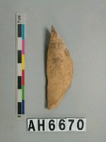 藏品(獸骨)的圖片